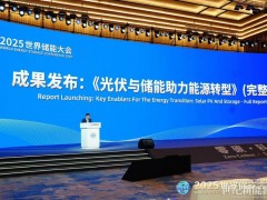 國(guó)際可再生能源署發(fā)布其全球首份儲(chǔ)能專題報(bào)告完整版 寧德時(shí)代深度參與
