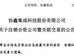 協(xié)鑫注銷一合資公司！