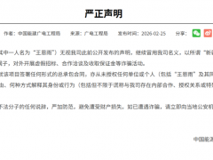 六大亂象曝光！儲能行業誰在“造假”？