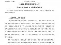 美錦氫能七年：高管頻辭，業績連虧！