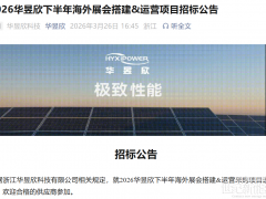 一張招標(biāo)公告里的儲能出海“陽謀”！