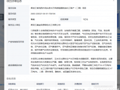 總投1億！黑龍江30萬噸綠氫醇航油項(xiàng)目備案