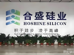 砸270億建廠，三年后產(chǎn)能利用率仍為0！“硅王”腸子悔青