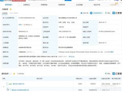 晶科再成立兩家新公司