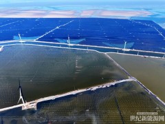 2GW光伏項目繼續推進！