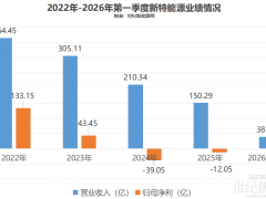 討薪風(fēng)波未了，這家硅料巨頭突然賺錢了