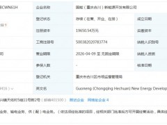 國(guó)家能源集團(tuán)成立新能源開發(fā)公司